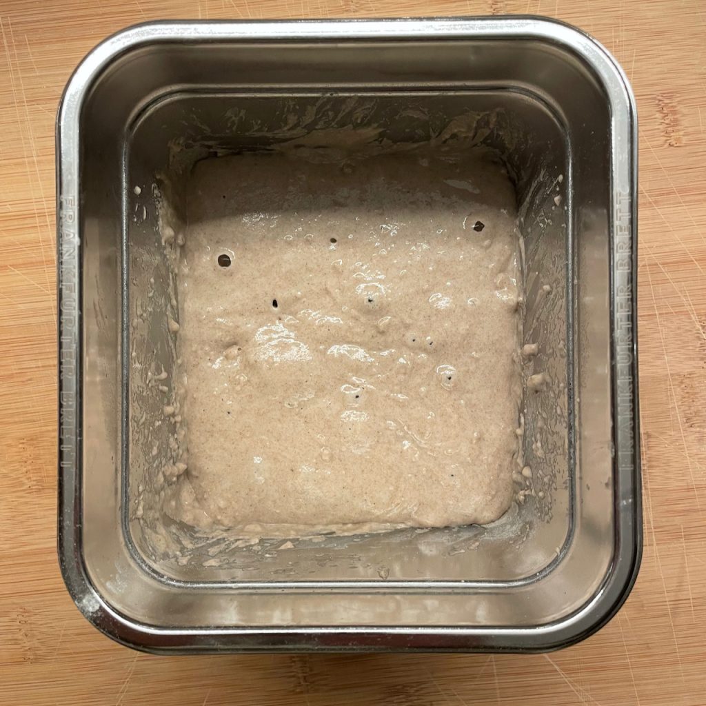 Roggenbrötchen aus 100%Roggen – 1. Versuch – ToBen in der Küche